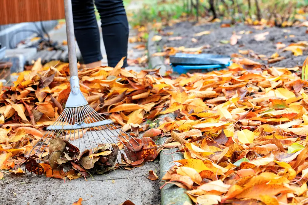 property-cleanup-cover-image